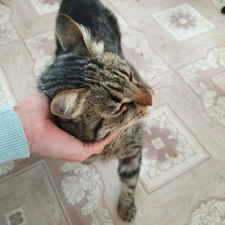 Кузя