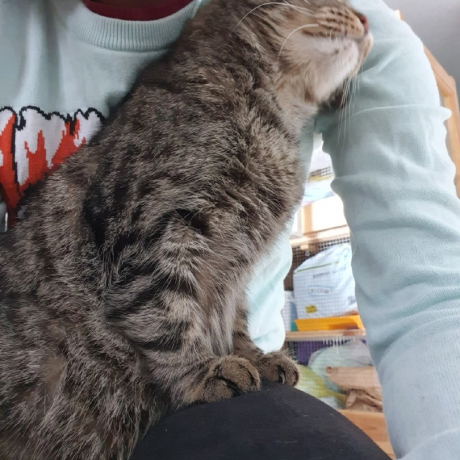 Кузя