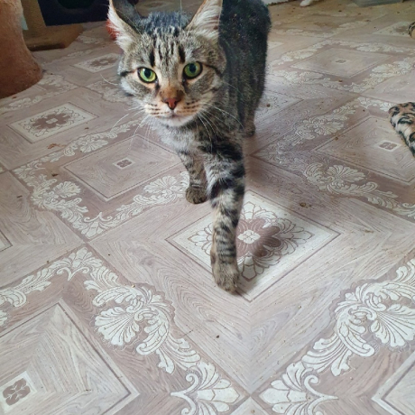 Кузя