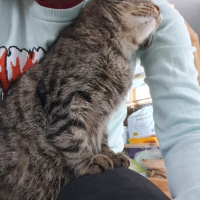 Кузя